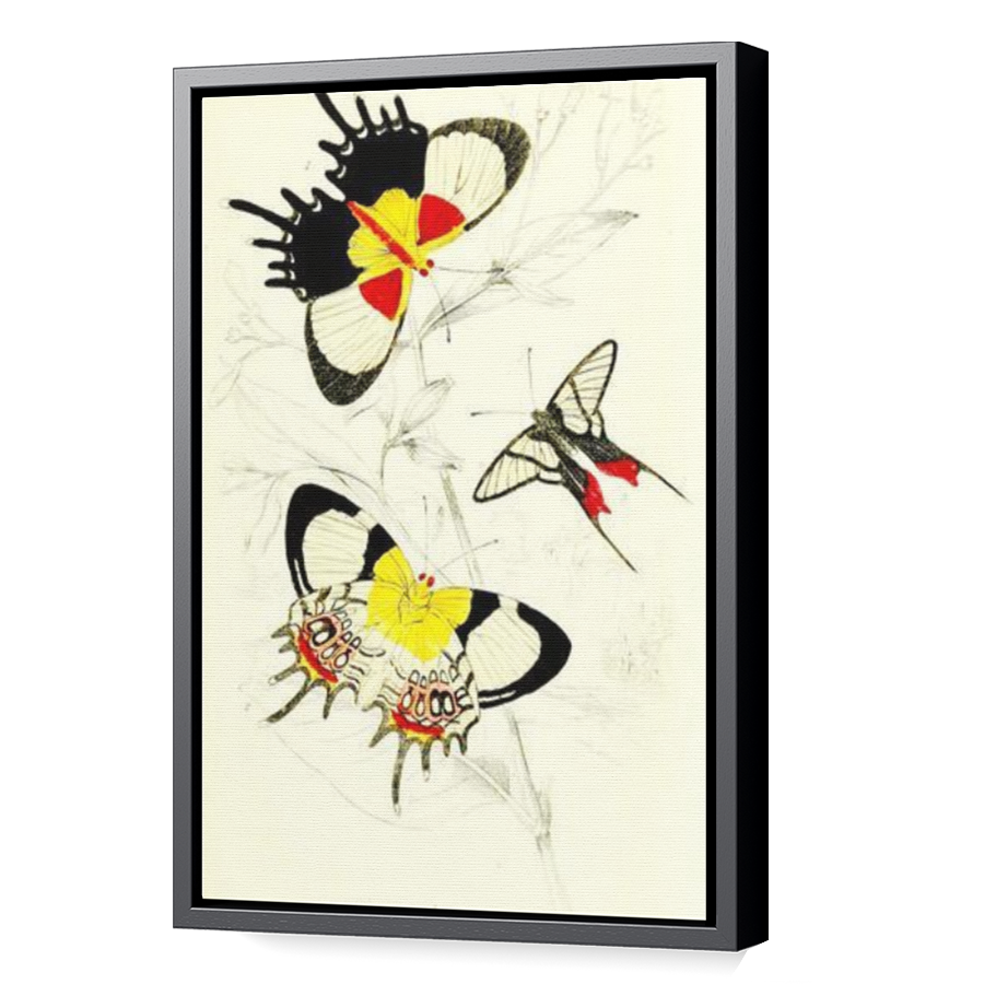 Thumbnail for Canvas - Black Floating Frame