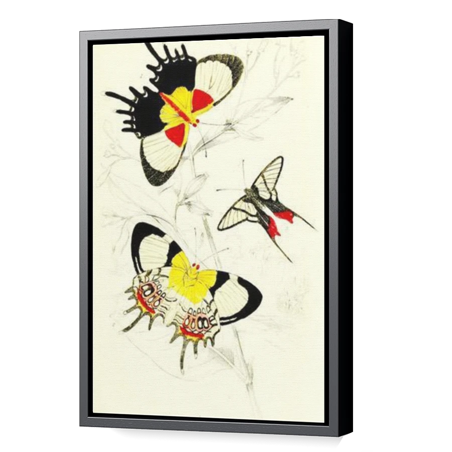 Thumbnail for Canvas - Black Floating Frame
