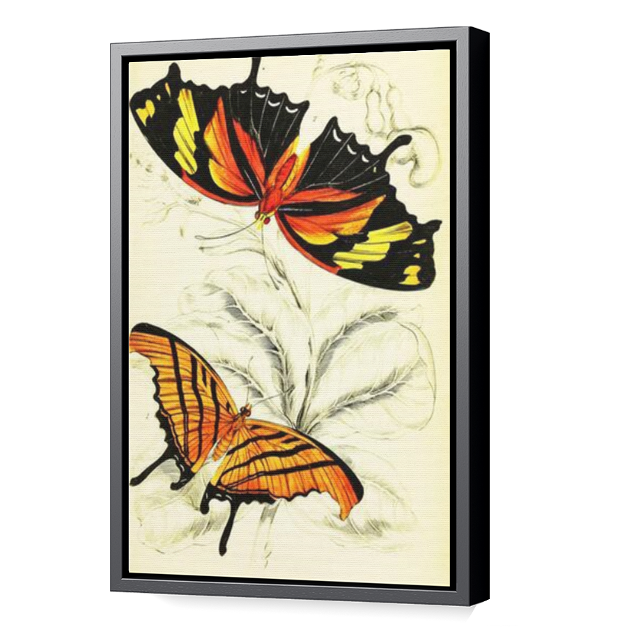 Thumbnail for Canvas - Black Floating Frame