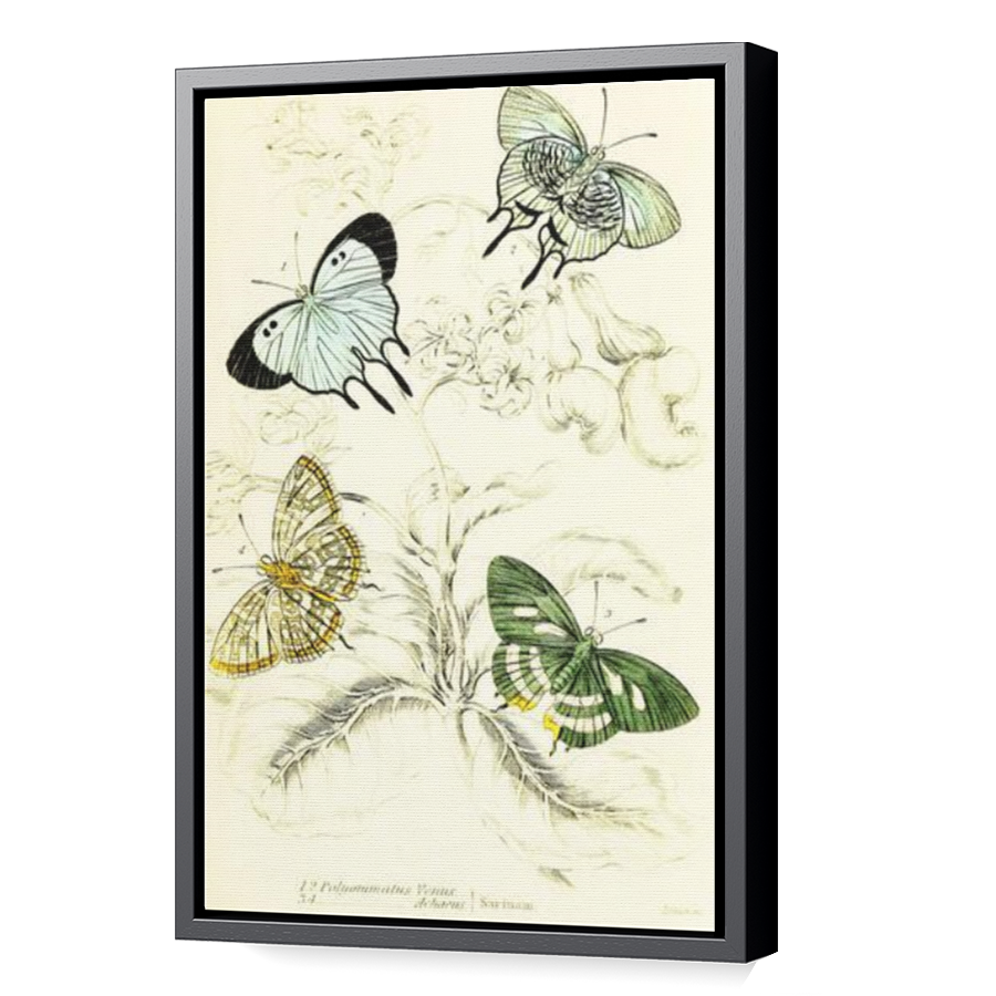 Thumbnail for Canvas - Black Floating Frame
