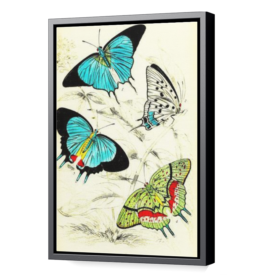 Thumbnail for Canvas - Black Floating Frame