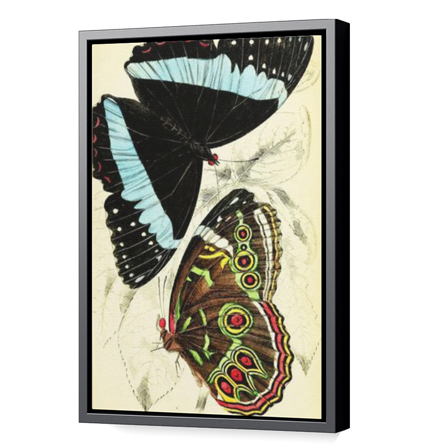 Thumbnail for Canvas - Black Floating Frame
