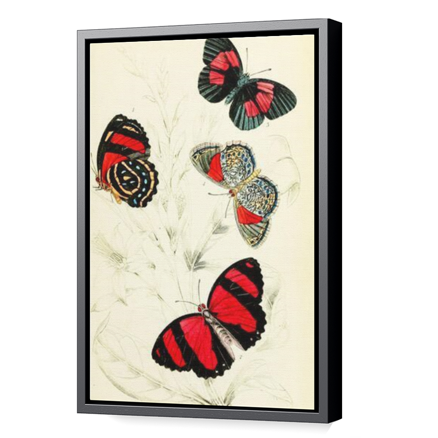 Thumbnail for Canvas - Black Floating Frame