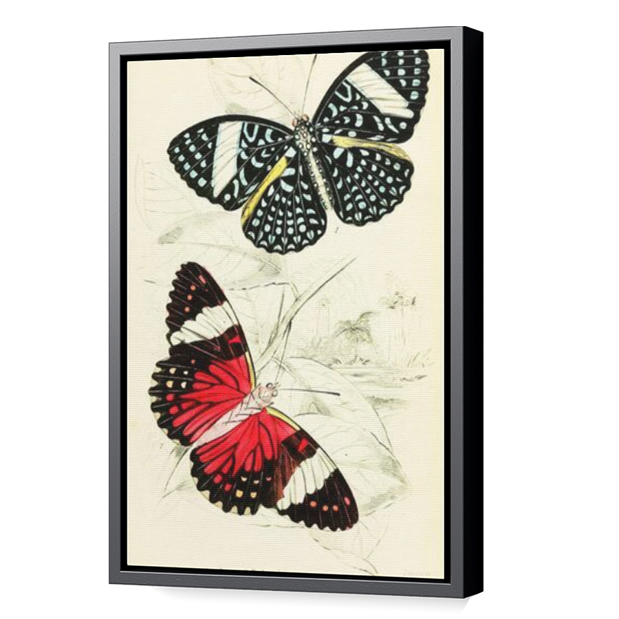 Thumbnail for Canvas - Black Floating Frame