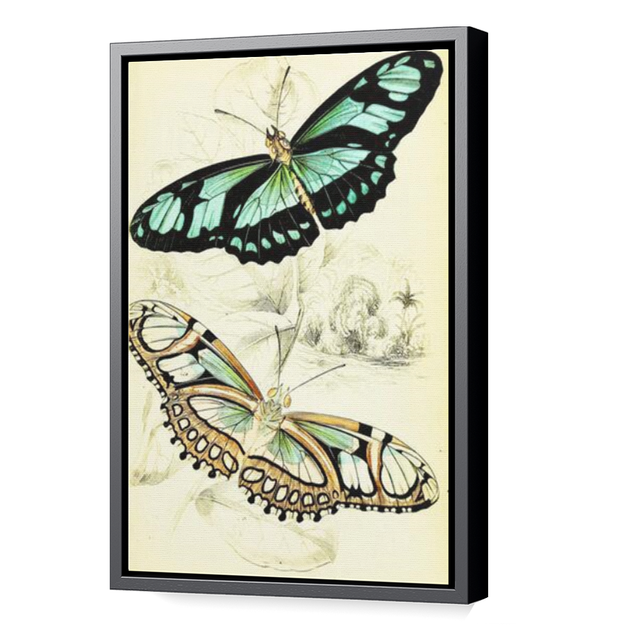 Thumbnail for Canvas - Black Floating Frame