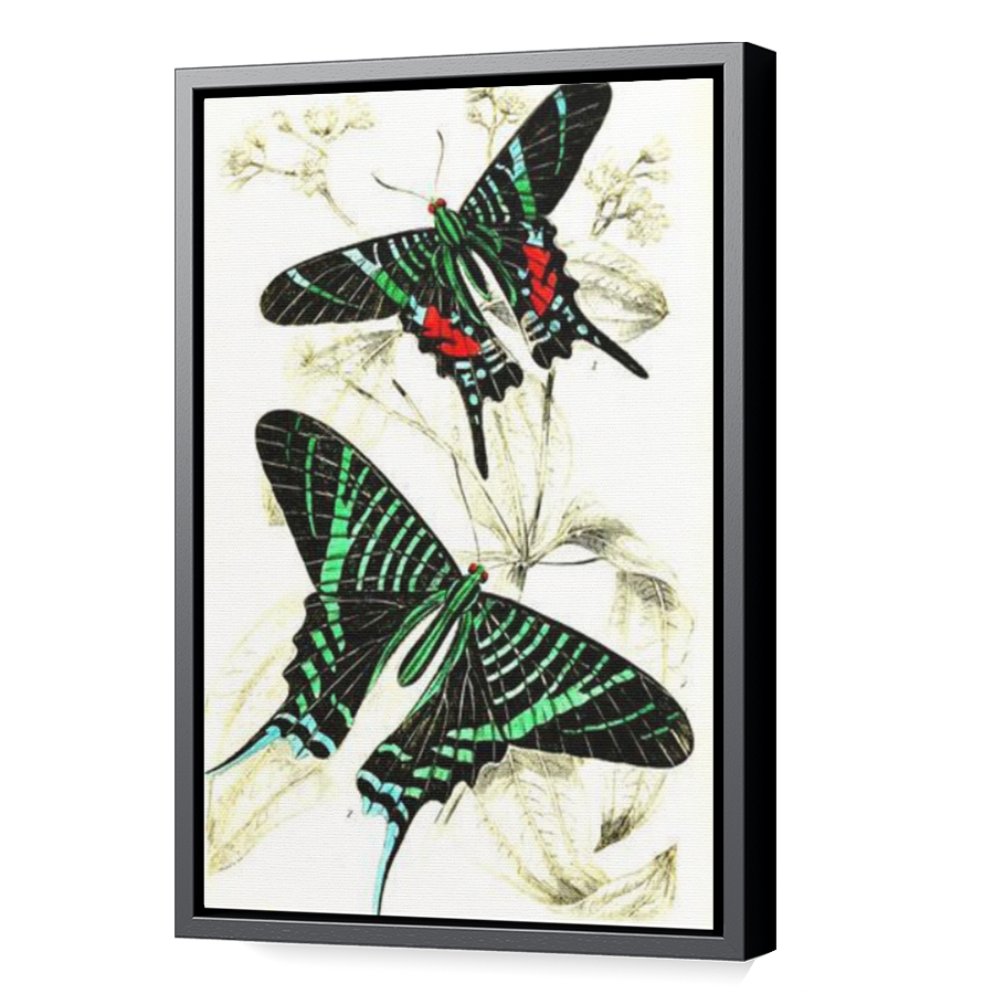 Thumbnail for Canvas - Black Floating Frame