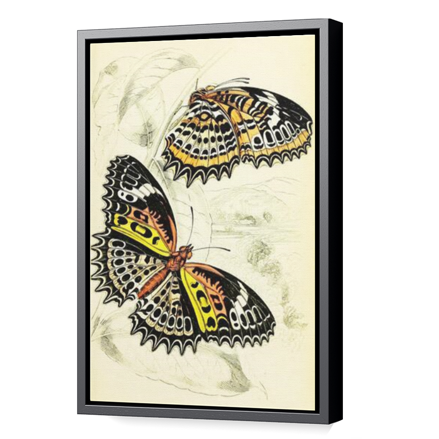 Thumbnail for Canvas - Black Floating Frame