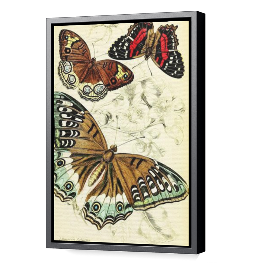 Thumbnail for Canvas - Black Floating Frame