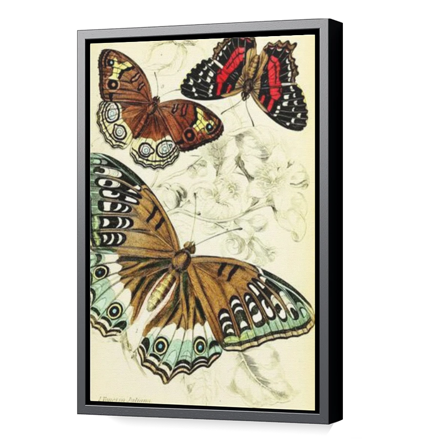 Thumbnail for Canvas - Black Floating Frame