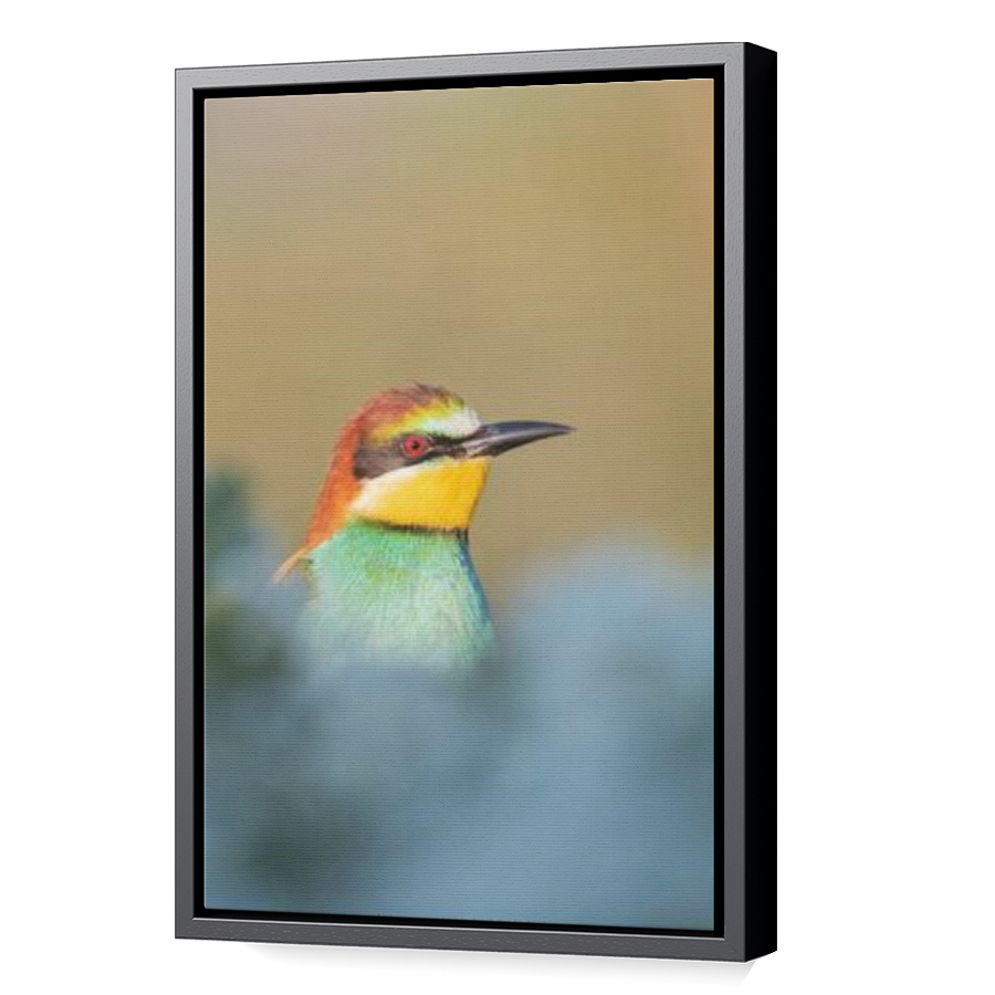 Thumbnail for Canvas - Black Floating Frame