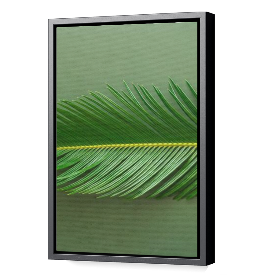 Thumbnail for Canvas - Black Floating Frame