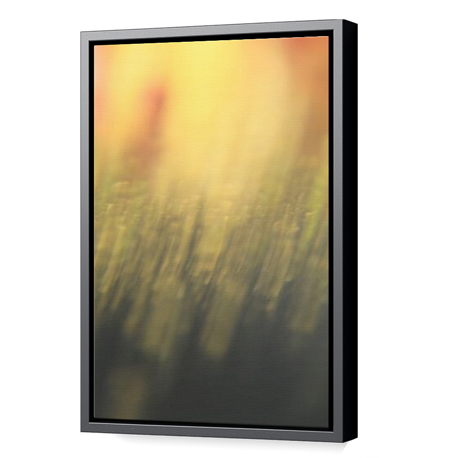 Thumbnail for Canvas - Black Floating Frame