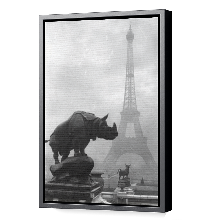 Thumbnail for Canvas - Black Floating Frame