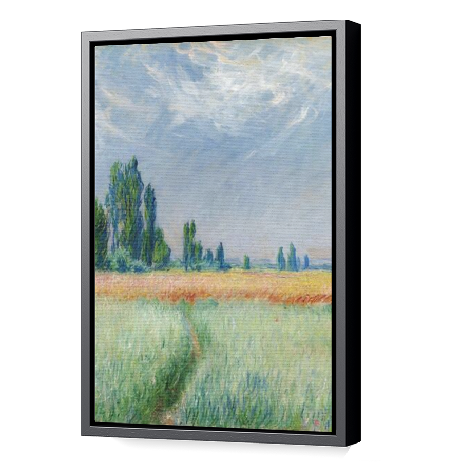 Thumbnail for Canvas - Black Floating Frame