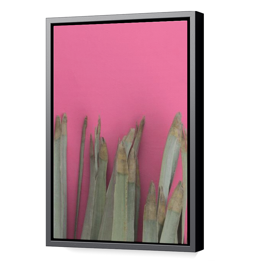 Thumbnail for Canvas - Black Floating Frame