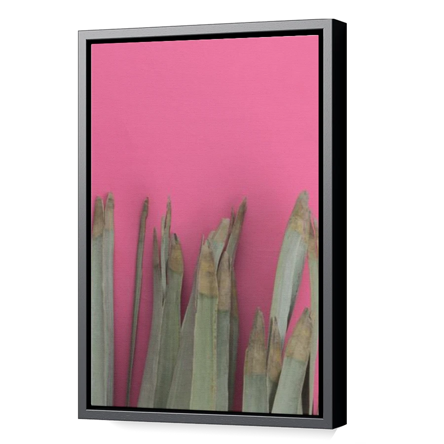 Thumbnail for Canvas - Black Floating Frame