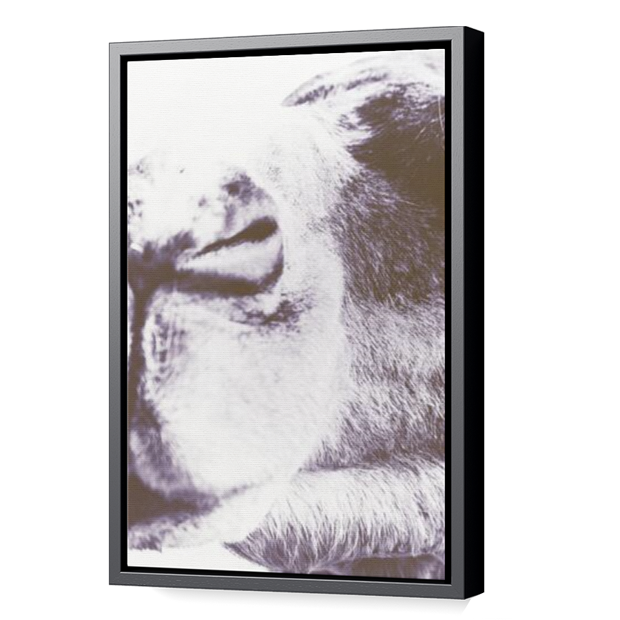 Thumbnail for Canvas - Black Floating Frame