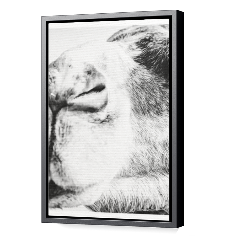Thumbnail for Canvas - Black Floating Frame