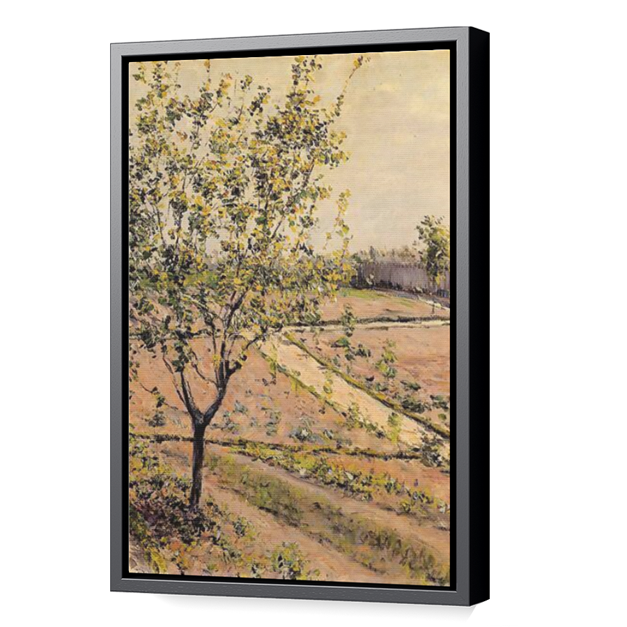 Thumbnail for Canvas - Black Floating Frame