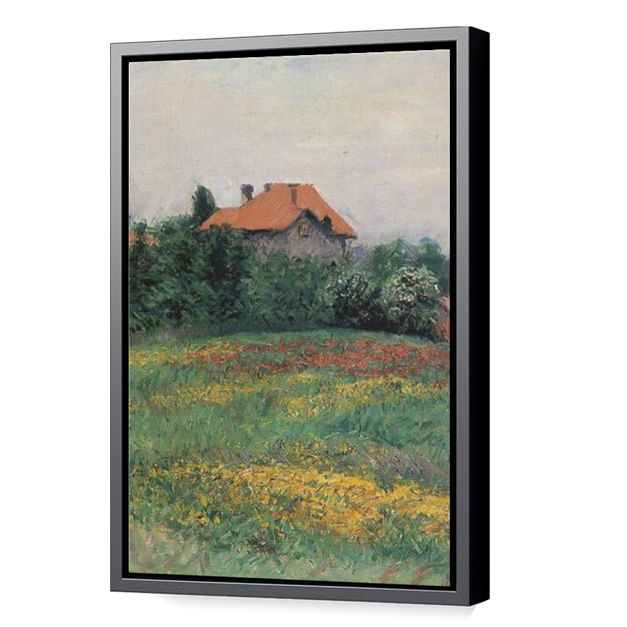 Thumbnail for Canvas - Black Floating Frame
