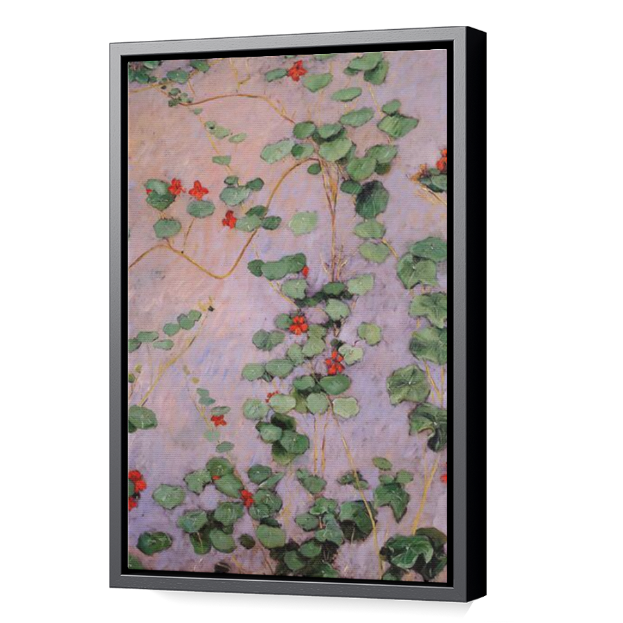 Thumbnail for Canvas - Black Floating Frame