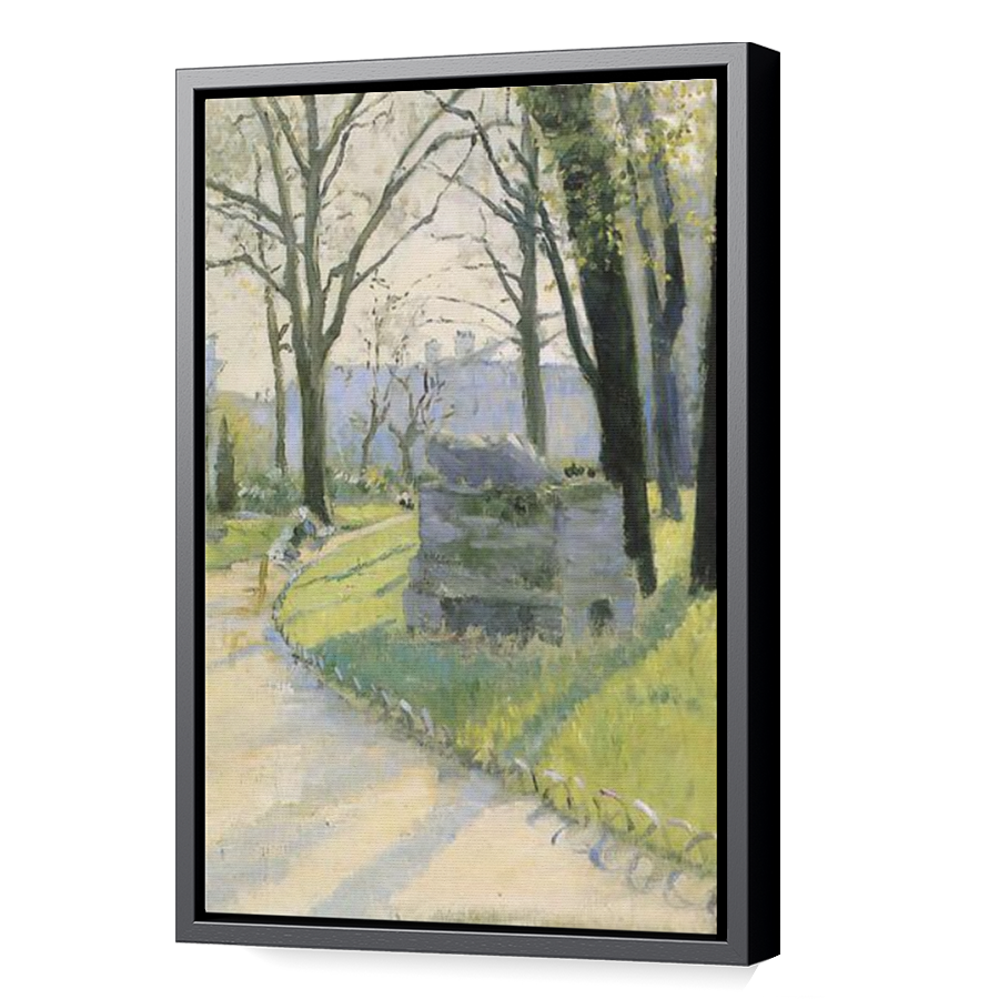 Thumbnail for Canvas - Black Floating Frame