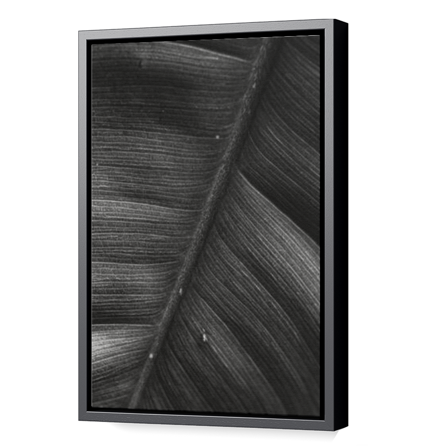 Thumbnail for Canvas - Black Floating Frame