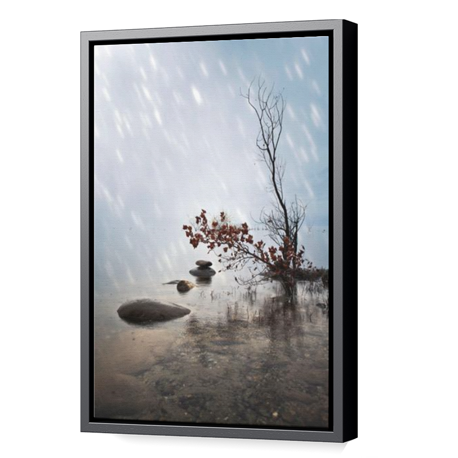 Thumbnail for Canvas - Black Floating Frame