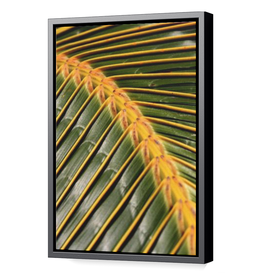 Thumbnail for Canvas - Black Floating Frame