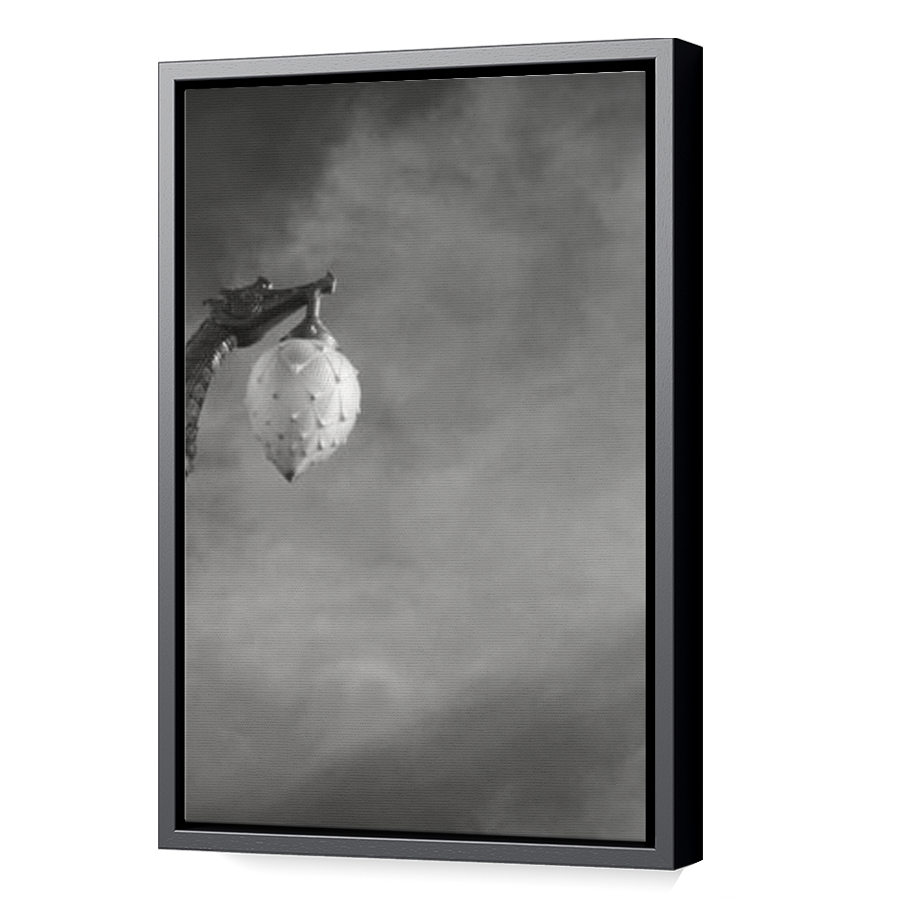 Thumbnail for Canvas - Black Floating Frame