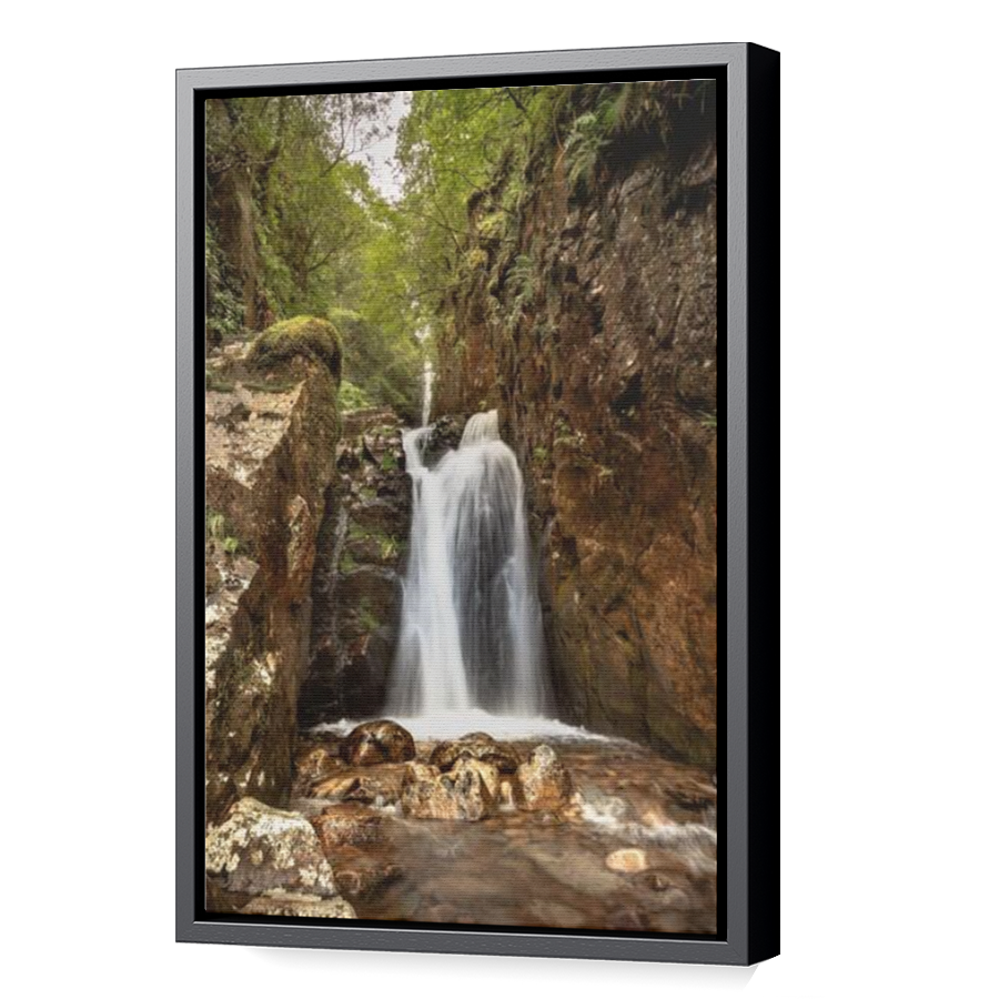 Thumbnail for Canvas - Black Floating Frame
