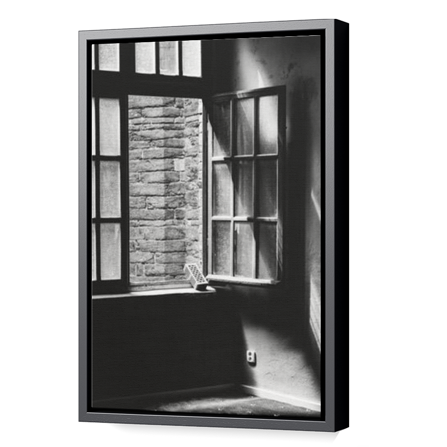 Thumbnail for Canvas - Black Floating Frame