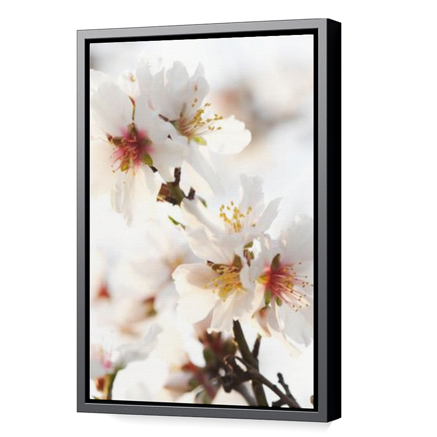 Thumbnail for Canvas - Black Floating Frame
