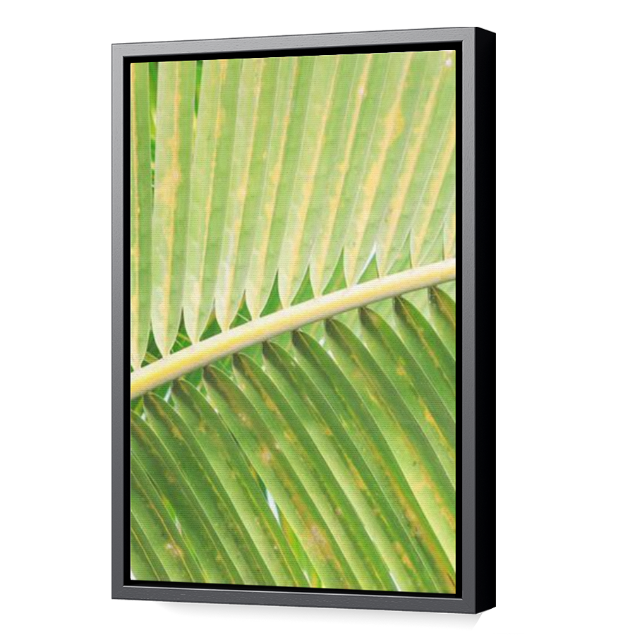 Thumbnail for Canvas - Black Floating Frame
