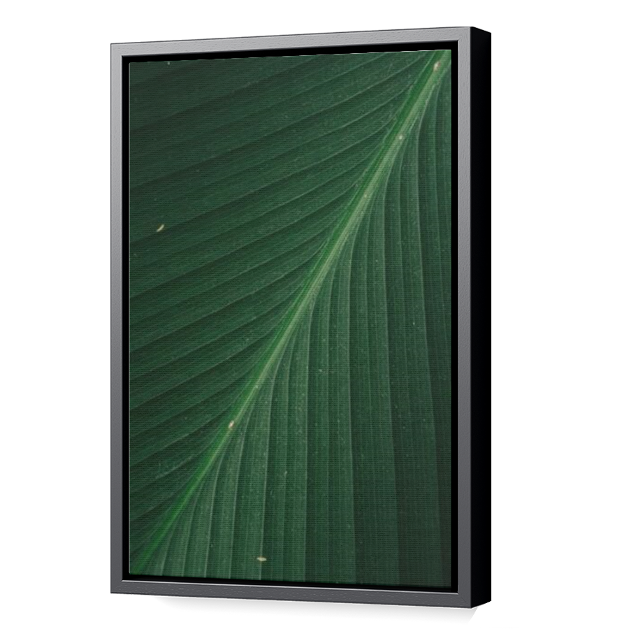 Thumbnail for Canvas - Black Floating Frame