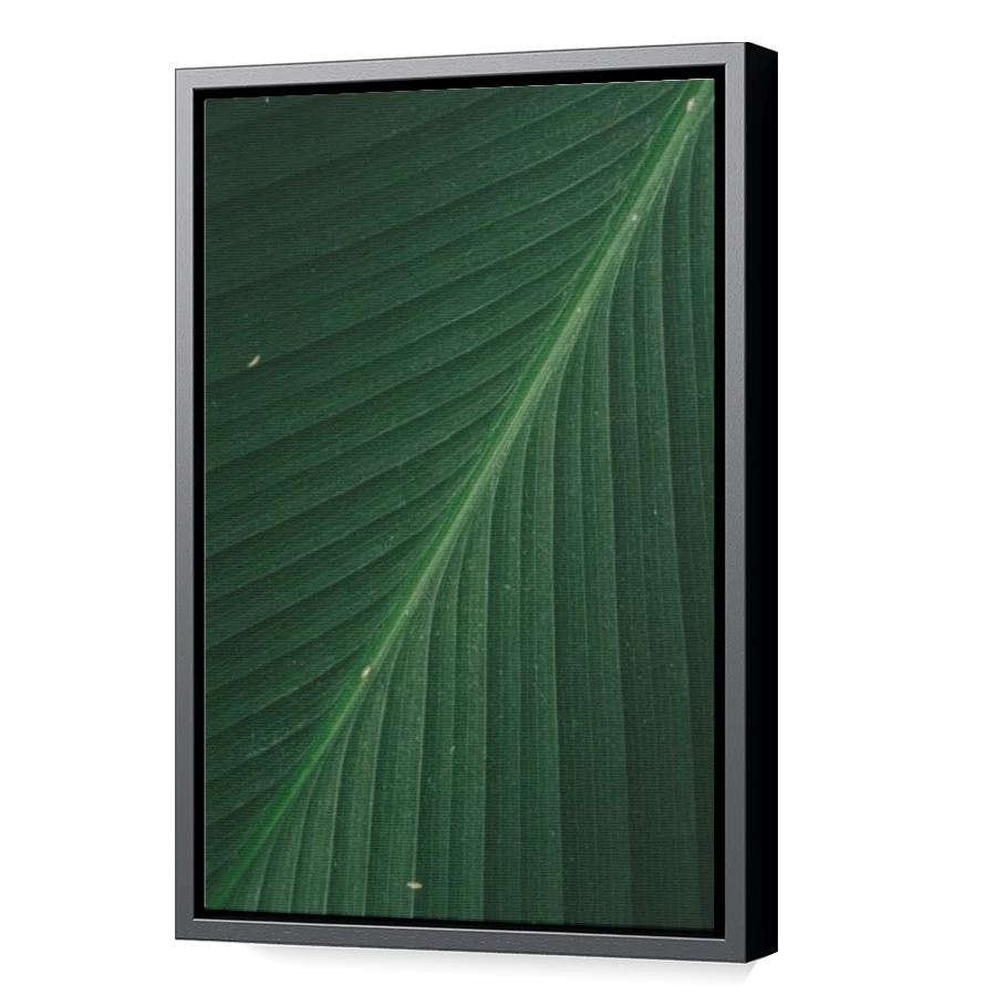 Thumbnail for Canvas - Black Floating Frame