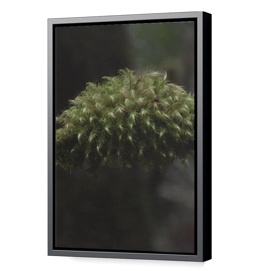 Thumbnail for Canvas - Black Floating Frame