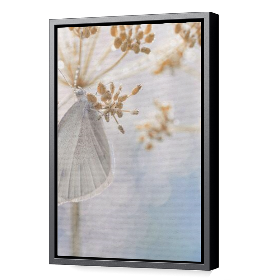 Thumbnail for Canvas - Black Floating Frame