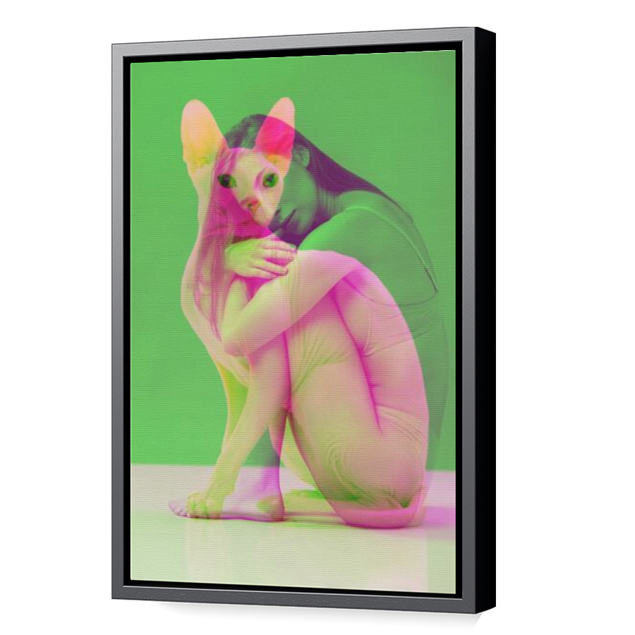 Thumbnail for Canvas - Black Floating Frame