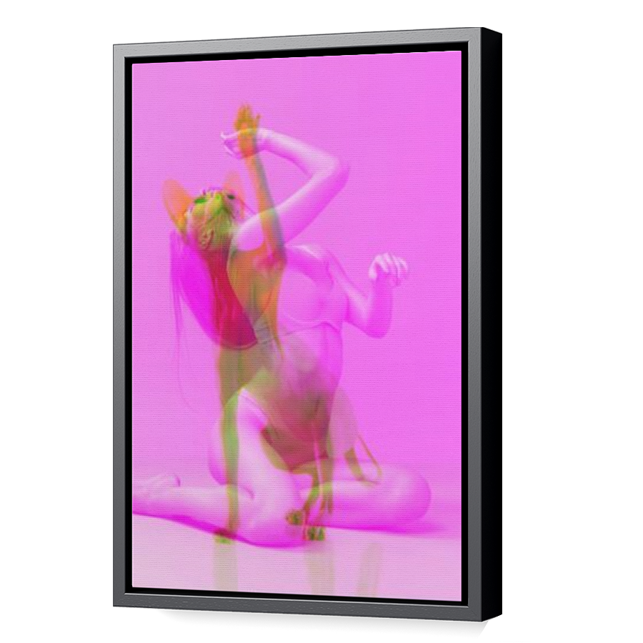 Thumbnail for Canvas - Black Floating Frame