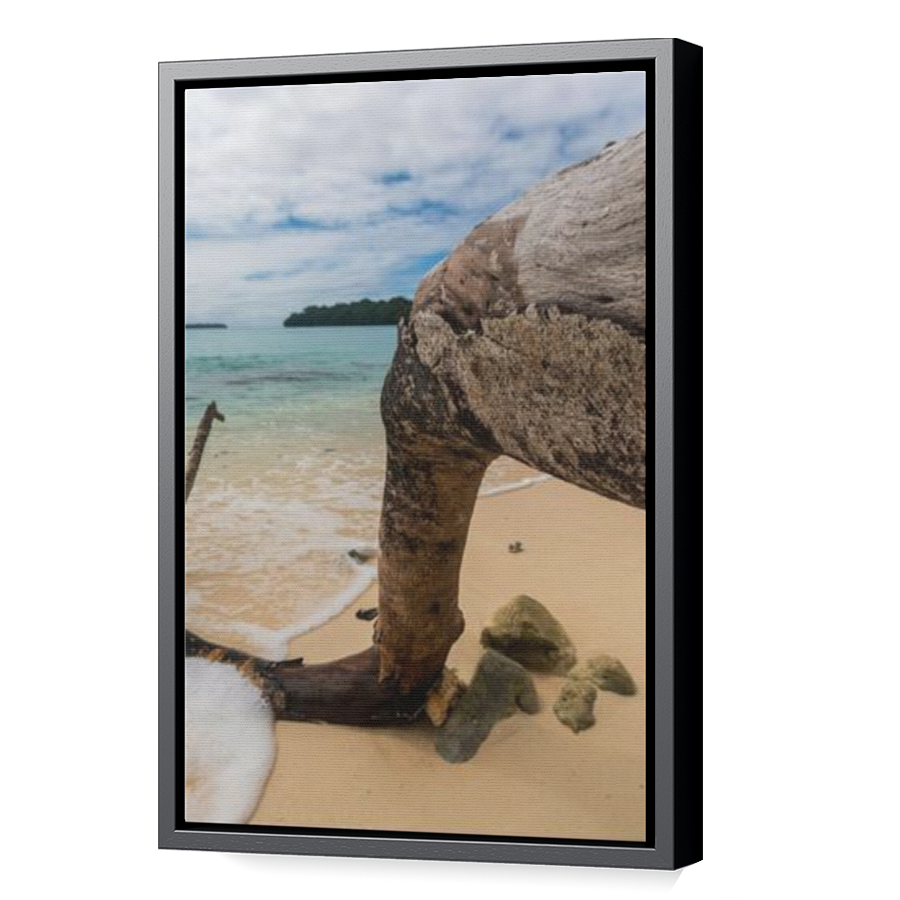 Thumbnail for Canvas - Black Floating Frame