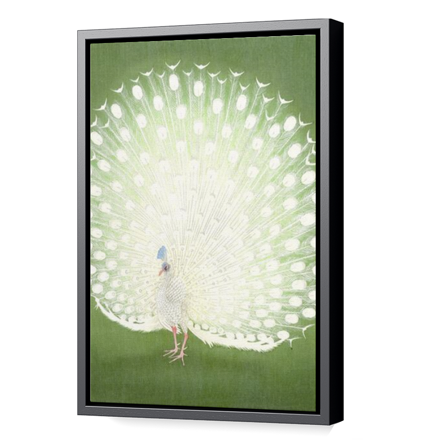Thumbnail for Canvas - Black Floating Frame