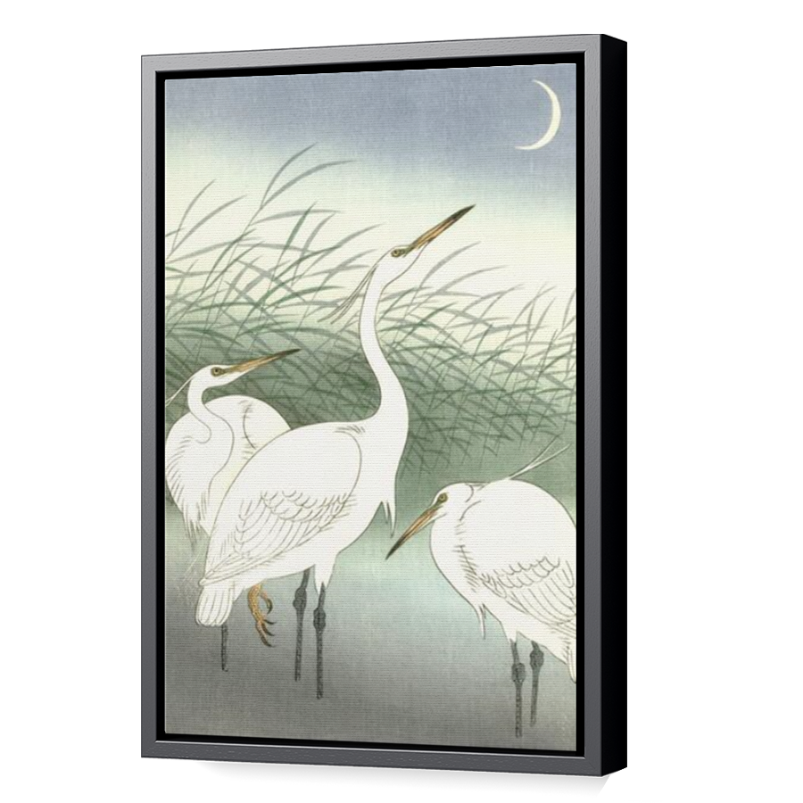 Thumbnail for Canvas - Black Floating Frame