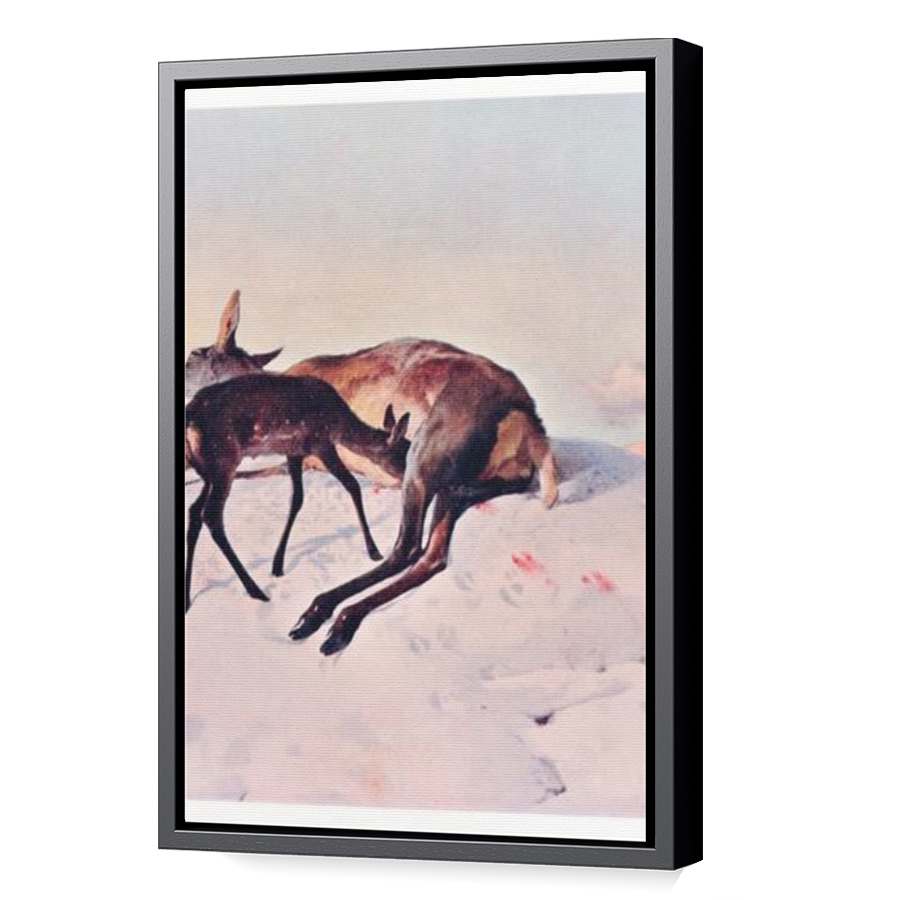 Thumbnail for Canvas - Black Floating Frame