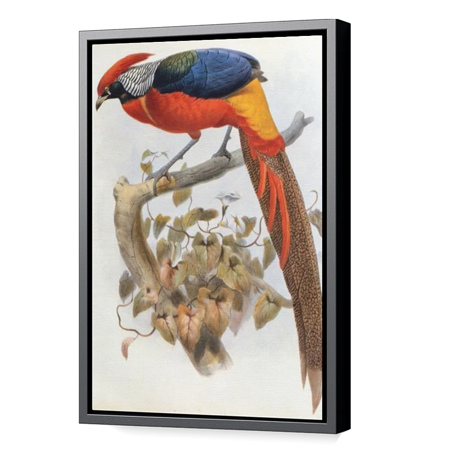 Thumbnail for Canvas - Black Floating Frame