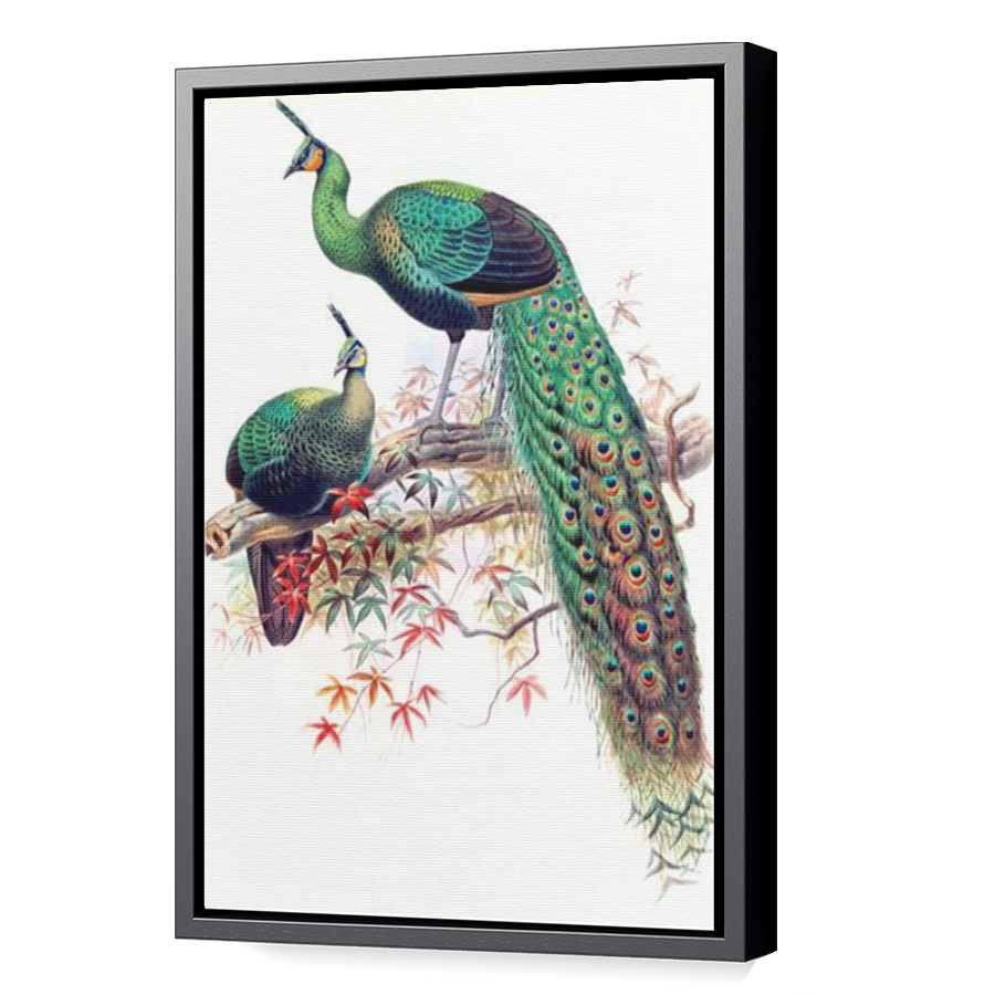 Thumbnail for Canvas - Black Floating Frame