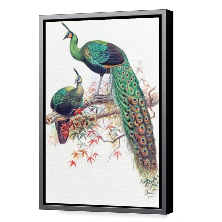 Thumbnail for Canvas - Black Floating Frame