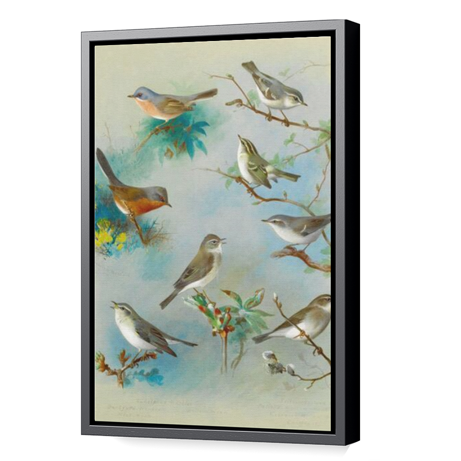 Thumbnail for Canvas - Black Floating Frame