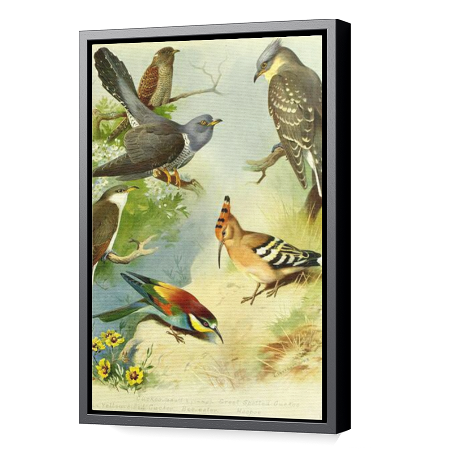 Thumbnail for Canvas - Black Floating Frame