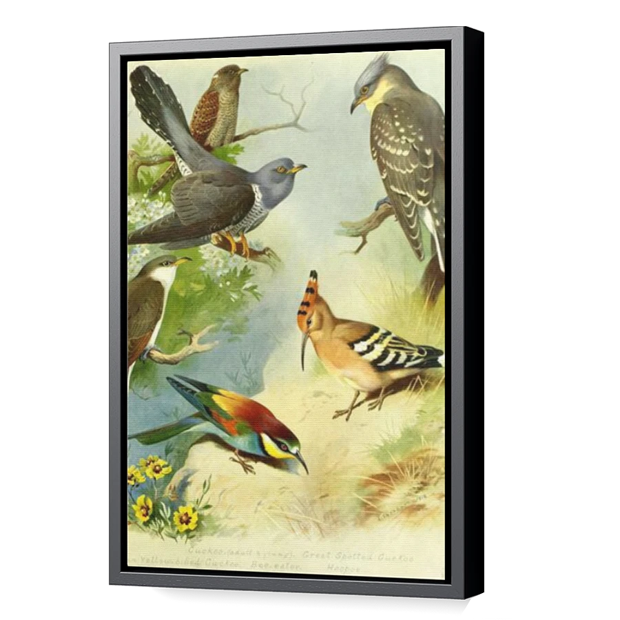 Thumbnail for Canvas - Black Floating Frame